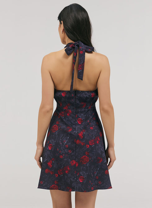 Halter With A Tie Neck Printed Dress